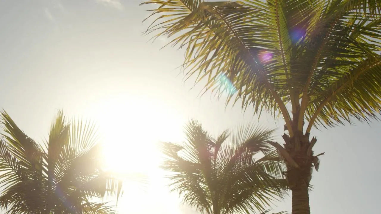 Secrets Riviera Cancun Resort & Spa (Adults Only) Puerto Morelos